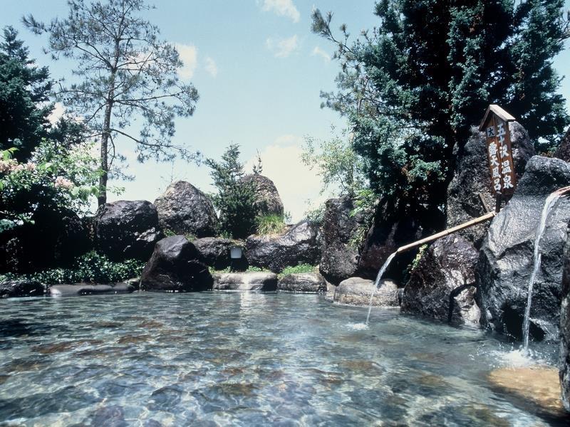Ryokan Ikazawa Onsen Yumotokan 南鱼沼市 外观 照片